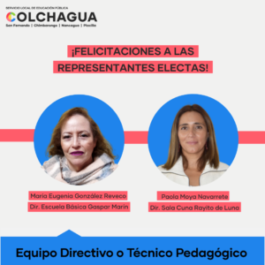 Candidatas electas Consejo Local Estamento Directivos