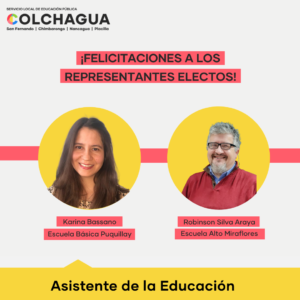 Candidatos electas Consejo Local Estamento Asistentes de la educación