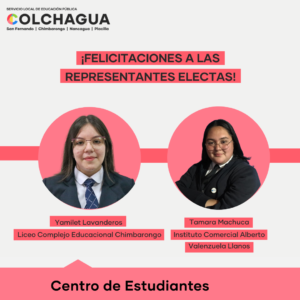 Candidatas electas Consejo Local Estamento Centro de Estudiantes