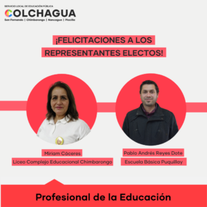 Candidatos electas Consejo Local Estamento Profesionales de la educación