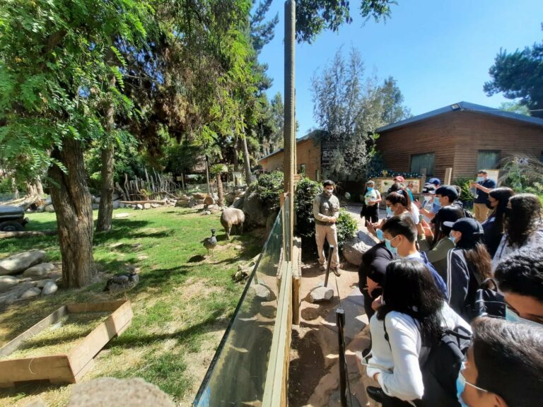SLEP Colchagua reconoció a sus estudiantes destacados con viaje cultural al Buin Zoo